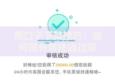 黑口子下款技巧：如何提升审核通过率与安全性？
