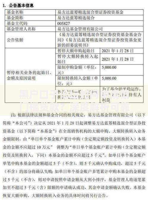 黑户口子论坛如何申请低门槛贷款？深度解析可靠渠道