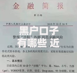 黑户口子有哪些 近日最新风险解析与防范指南