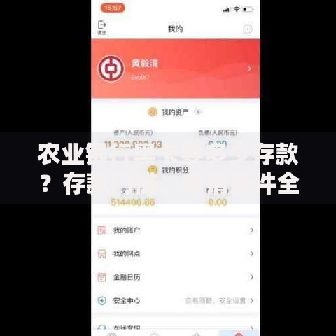 农业银行黑卡要多少存款？存款门槛、申请条件全解析