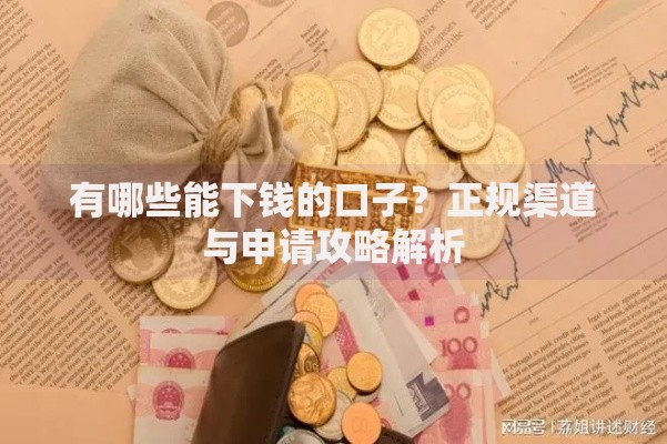 有哪些能下钱的口子？正规渠道与申请攻略解析