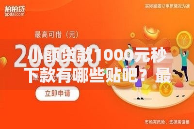 小额贷款1000元秒下款有哪些贴吧？最新平台分析与避坑指南