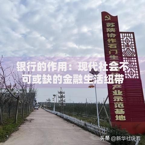 银行的作用：现代社会不可或缺的金融生活纽带