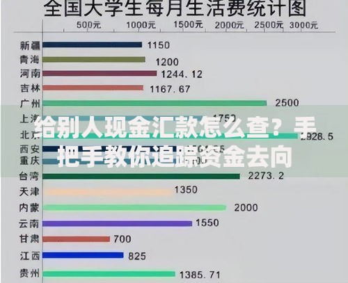 给别人现金汇款怎么查？手把手教你追踪资金去向
