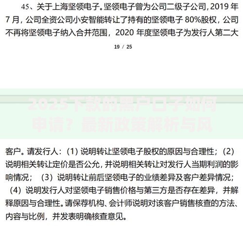 2025下款的黑户口子如何申请？最新政策解析与风险提示