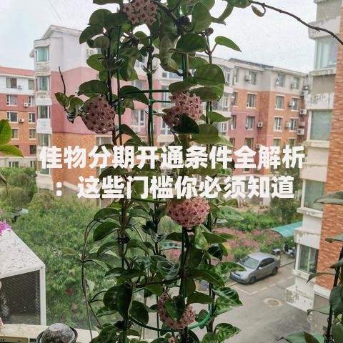 佳物分期开通条件全解析：这些门槛你必须知道