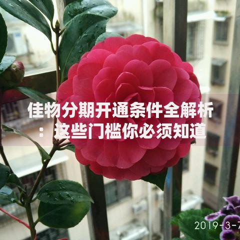佳物分期开通条件全解析：这些门槛你必须知道