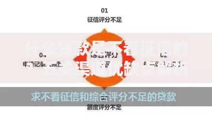 什么贷款是不看征信的？五类渠道优缺点解析