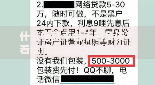 什么借款平台不看负债不看征信？深度解析低门槛贷款渠道
