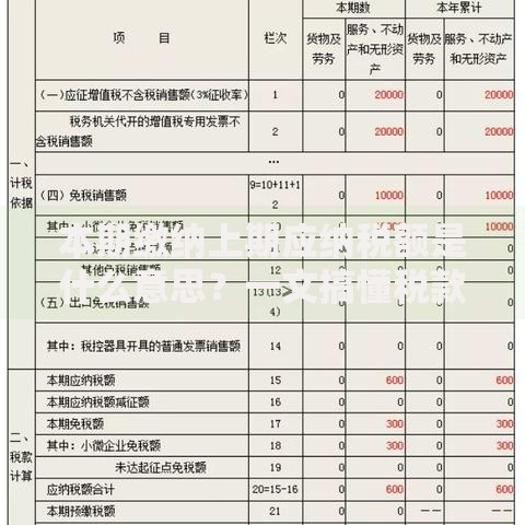 本期缴纳上期应纳税额是什么意思？一文搞懂税款缴纳规则