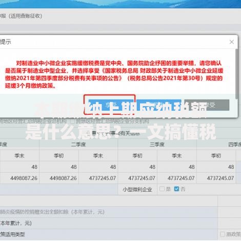本期缴纳上期应纳税额是什么意思？一文搞懂税款缴纳规则
