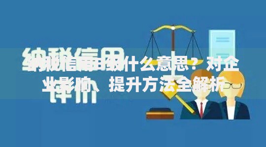 纳税信用B级什么意思？对企业影响、提升方法全解析