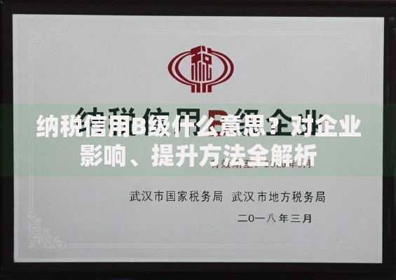 纳税信用B级什么意思？对企业影响、提升方法全解析