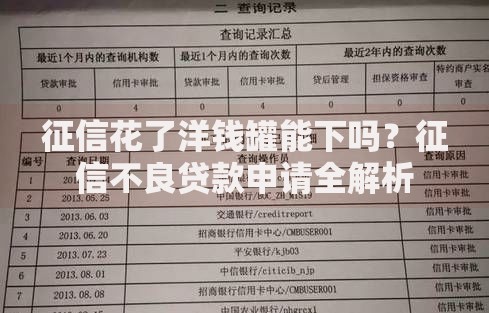 征信花了洋钱罐能下吗？征信不良贷款申请全解析