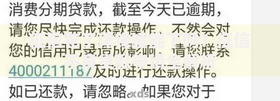 征信花了洋钱罐能下吗？征信不良贷款申请全解析