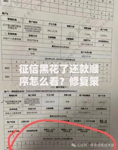 征信黑花了还款顺序怎么看？修复策略深度解析