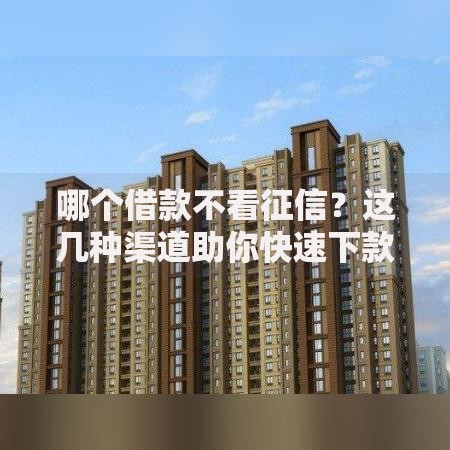 哪个借款不看征信？这几种渠道助你快速下款