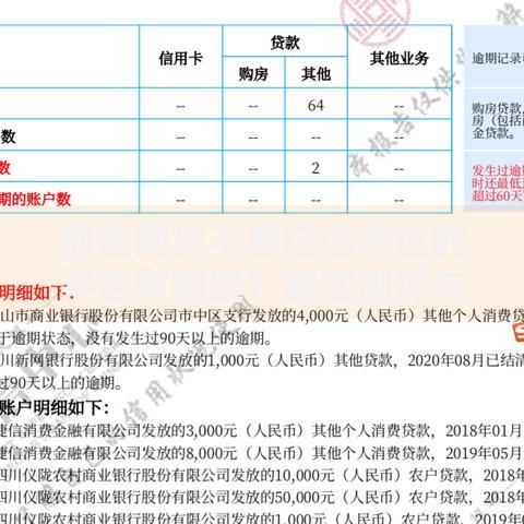 那些网贷不看征信秒过的平台有哪些？真实测评与避坑指南