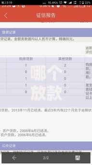 哪个放款平台不看征信？无征信贷款全解析