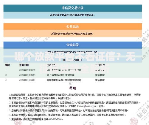 哪个放款平台不看征信？无征信贷款全解析