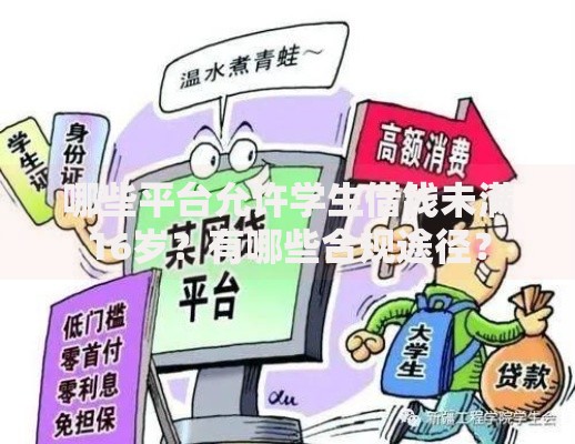 哪些平台允许学生借钱未满16岁？有哪些合规途径？