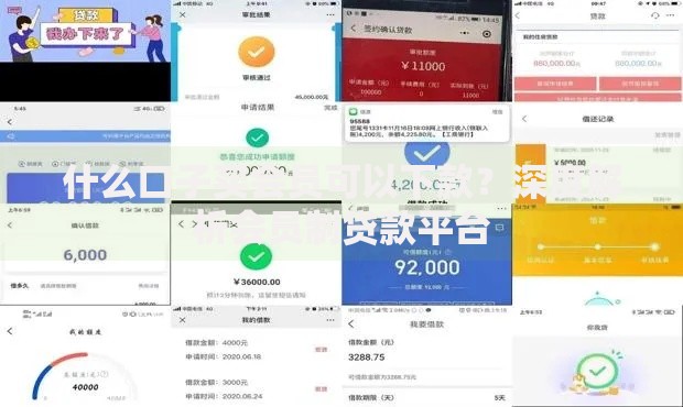 什么口子买会员可以下款？深度解析会员制贷款平台