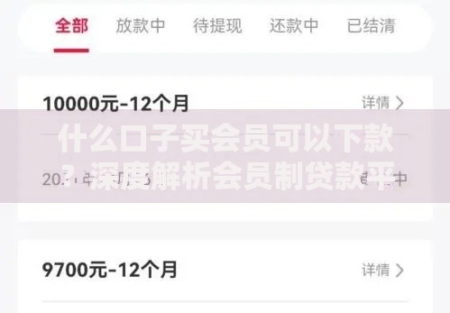 什么口子买会员可以下款？深度解析会员制贷款平台