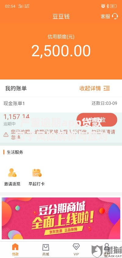 严重逾期app贷款口子风险解析与应对方案