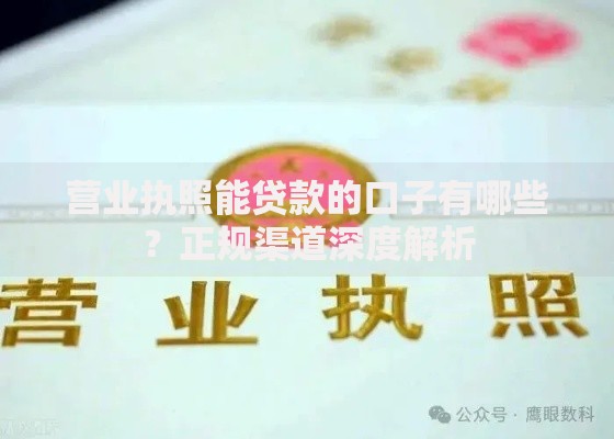 营业执照能贷款的口子有哪些？正规渠道深度解析