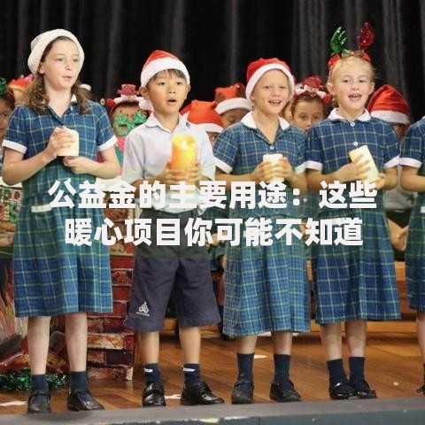 公益金的主要用途：这些暖心项目你可能不知道