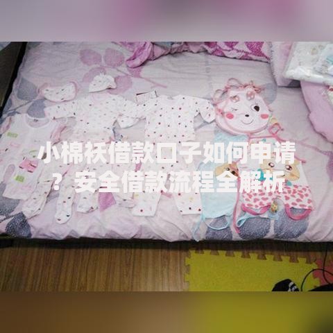 小棉袄借款口子如何申请？安全借款流程全解析