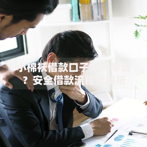 小棉袄借款口子如何申请？安全借款流程全解析