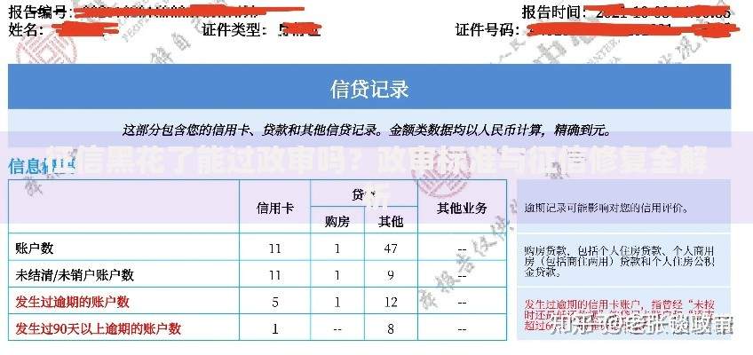 征信黑花了能过政审吗？政审标准与征信修复全解析