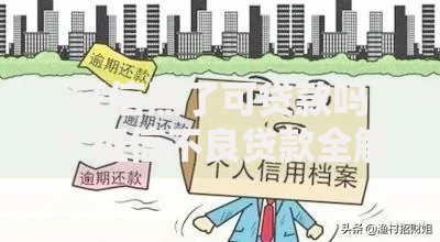 征信黑了可贷款吗？征信不良贷款全解析
