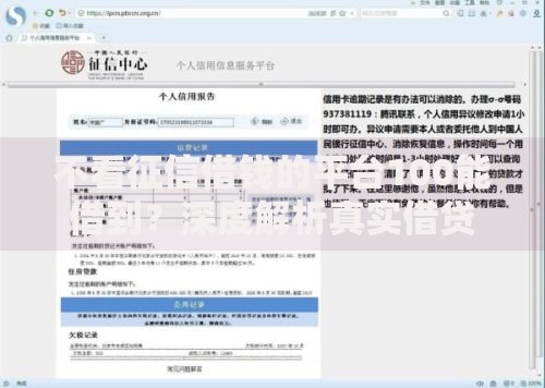 不看征信借钱的平台100能借到?深度解析真实借贷渠道 不看征信借钱的平台100能借到?深度解析真实借贷渠道