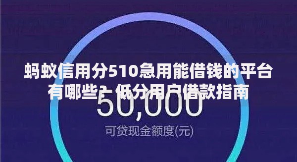 蚂蚁信用分510急用能借钱的平台有哪些?低分用户借款指南 蚂蚁信用分510急用能借钱的平台有哪些?低分用户借款指南