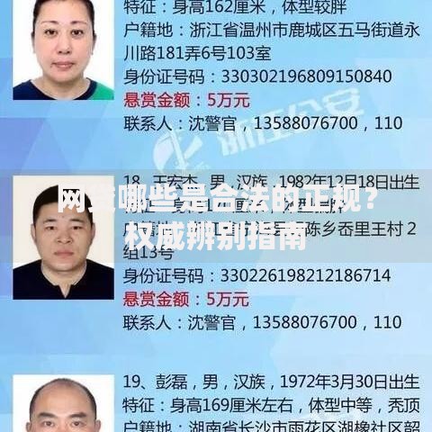 网贷哪些是合法的正规?权威辨别指南 网贷哪些是合法的正规?权威辨别指南