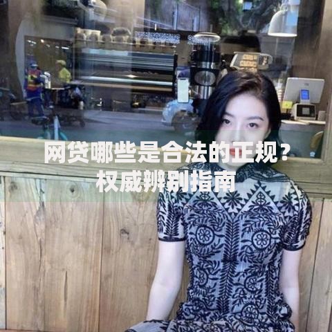 网贷哪些是合法的正规?权威辨别指南 网贷哪些是合法的正规?权威辨别指南