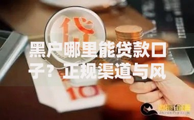 黑户哪里能贷款口子?正规渠道与风险防范指南 黑户哪里能贷款口子?正规渠道与风险防范指南