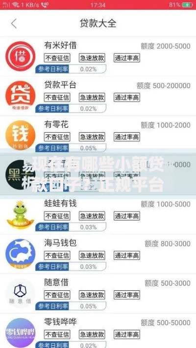 现在有哪些小额贷款口子？正规平台解析与避坑指南