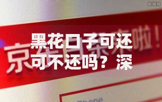 黑花口子可还可不还吗？深度解析借贷风险与法律后果