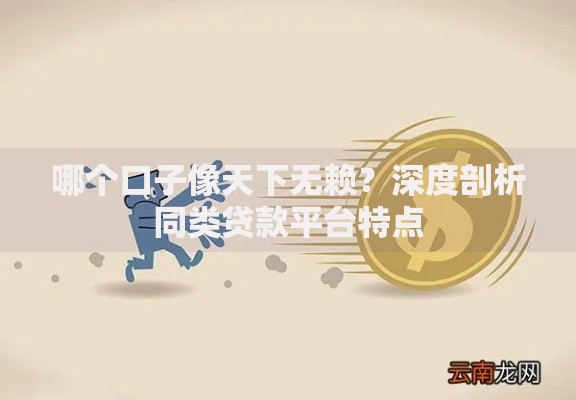 哪个口子像天下无赖？深度剖析同类贷款平台特点