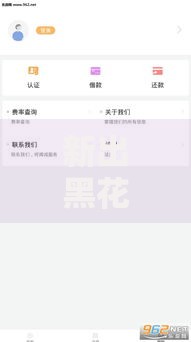 新出黑花了借款口子正规吗？申请流程深度解析