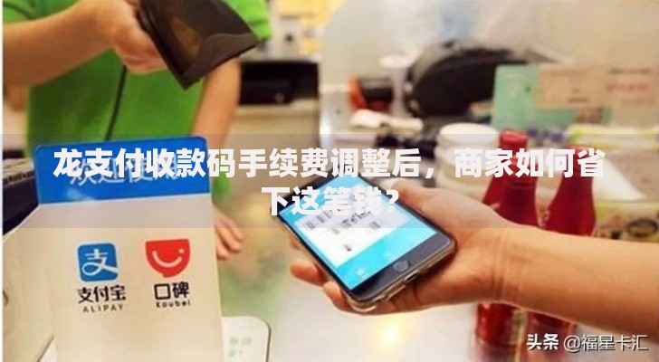 龙支付收款码手续费调整后，商家如何省下这笔钱？