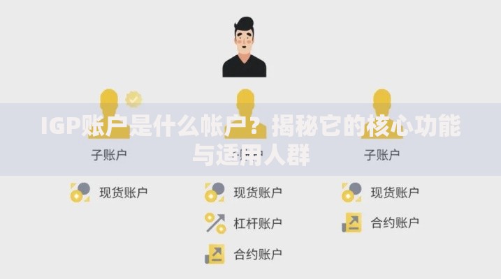 IGP账户是什么帐户？揭秘它的核心功能与适用人群