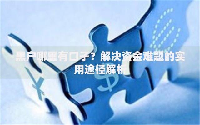 黑户哪里有口子？解决资金难题的实用途径解析