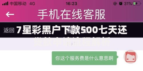 7星彩黑户下款500七天还贷款申请流程解析