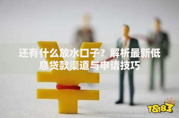 还有什么放水口子？解析最新低息贷款渠道与申请技巧
