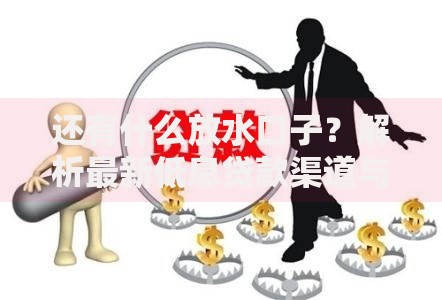 还有什么放水口子？解析最新低息贷款渠道与申请技巧