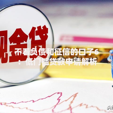 不看负债和征信的口子6：低门槛贷款申请解析
